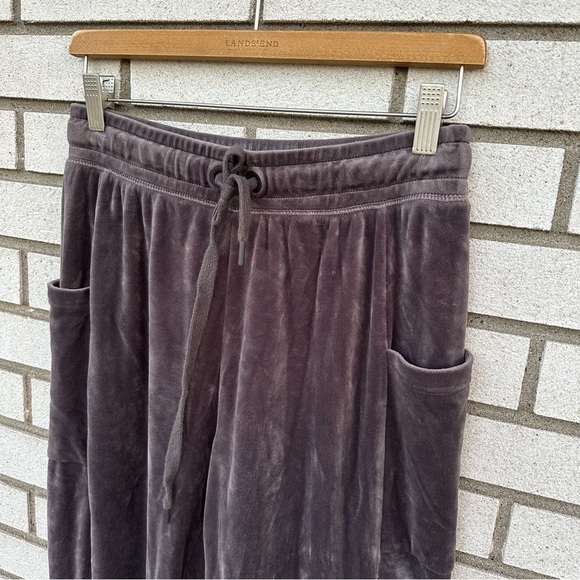 Offline by Aerie After Party Velour Jogger University Grey - Picture 5 of 14